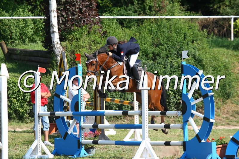 105M3425_Da Cota_Spring_A.JPG